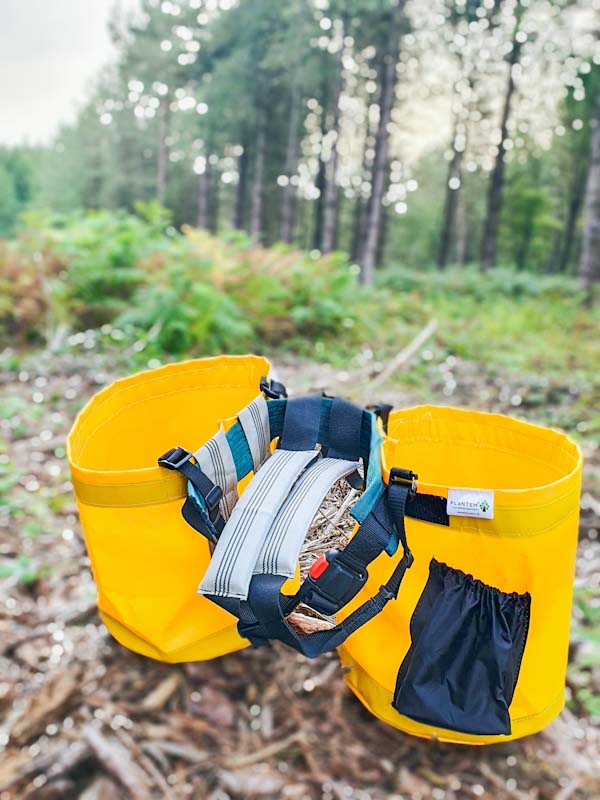 PLANTEM Double Tree Planting Bag with a padded belt in woodland being restocked with saplings