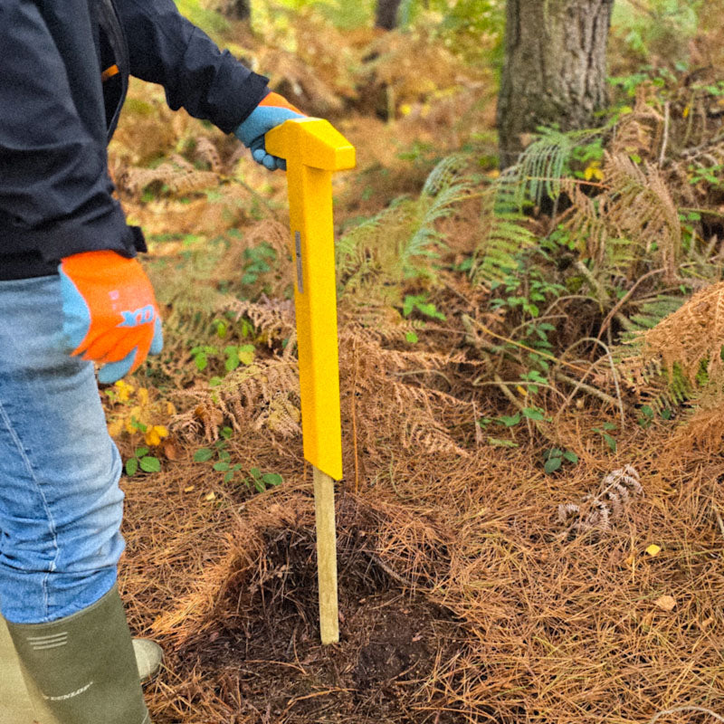 StakeAid used by a person in woodland to drive a stake into the ground while planting trees
