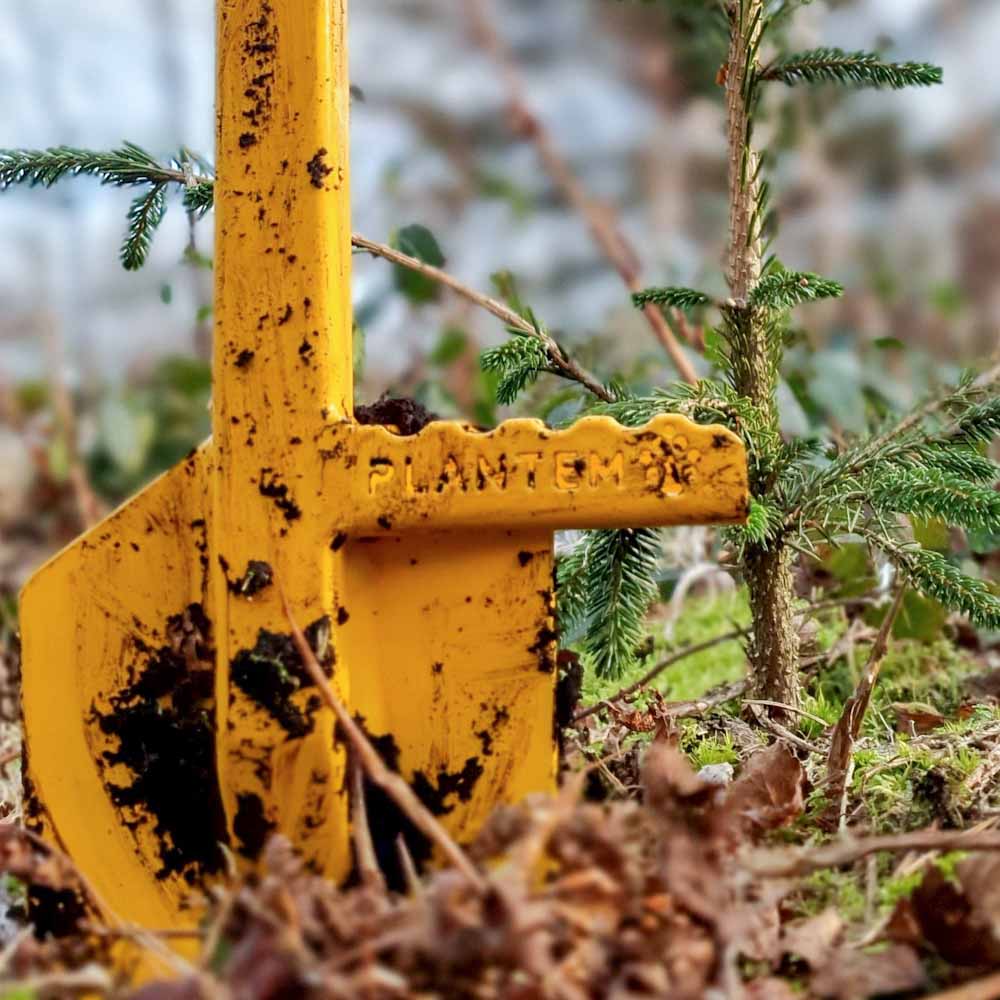 PLANTEM Spear PL-6001 Tree Spear / Spade with tree sapling in woodland