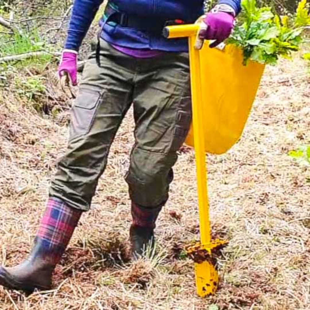 Lady planting oak tree saplings using a PLANTEM Dibber and Tree Planting Bag