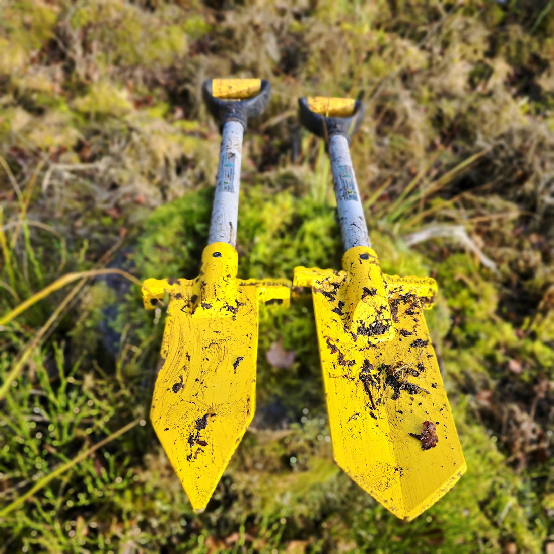 PLANTEM Short Spear & Dibber on a tree stump. For speed planting tree and hedge saplings, bare root or cell grown