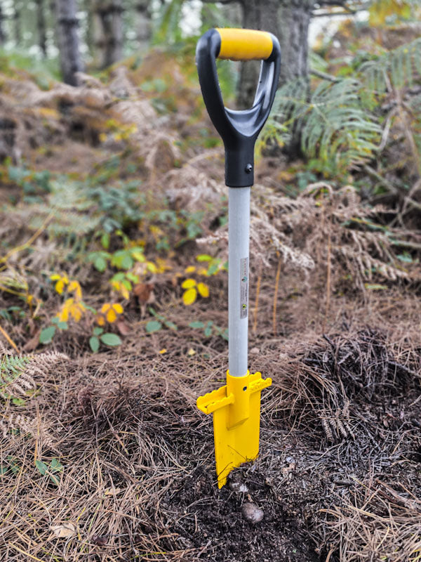 PLANTEM short spear standing in needle covered forest floor ready to plant a tree