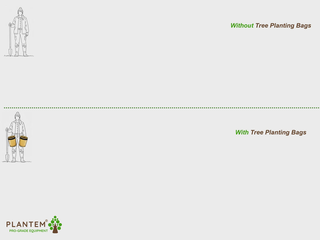 Animation depicting how small efficiencies gained using Tree Planting Bags to plant tree saplings can make a tangible improvement to efficiency.