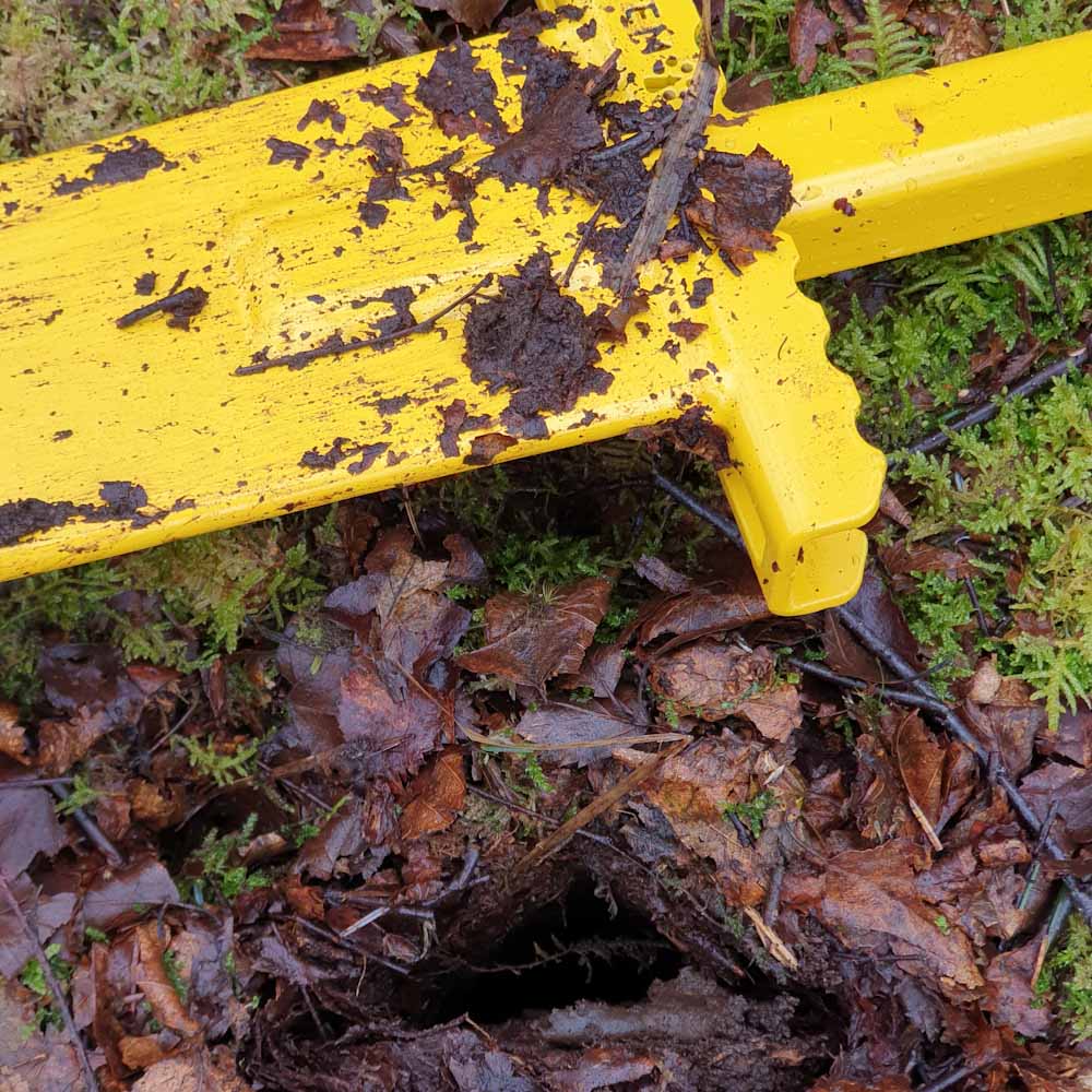 Triangular shaped planting pocket for bare root tree sapling, using a PLANTEM Dibber, Dibble, in woodland